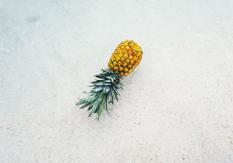 Ananasplant 