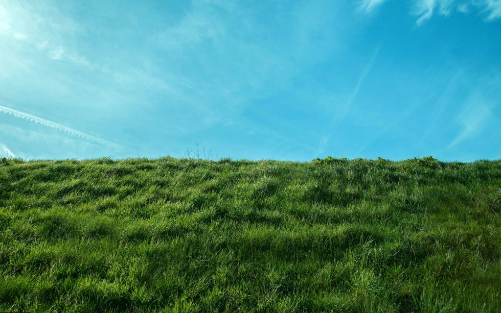 kunstgras kopen