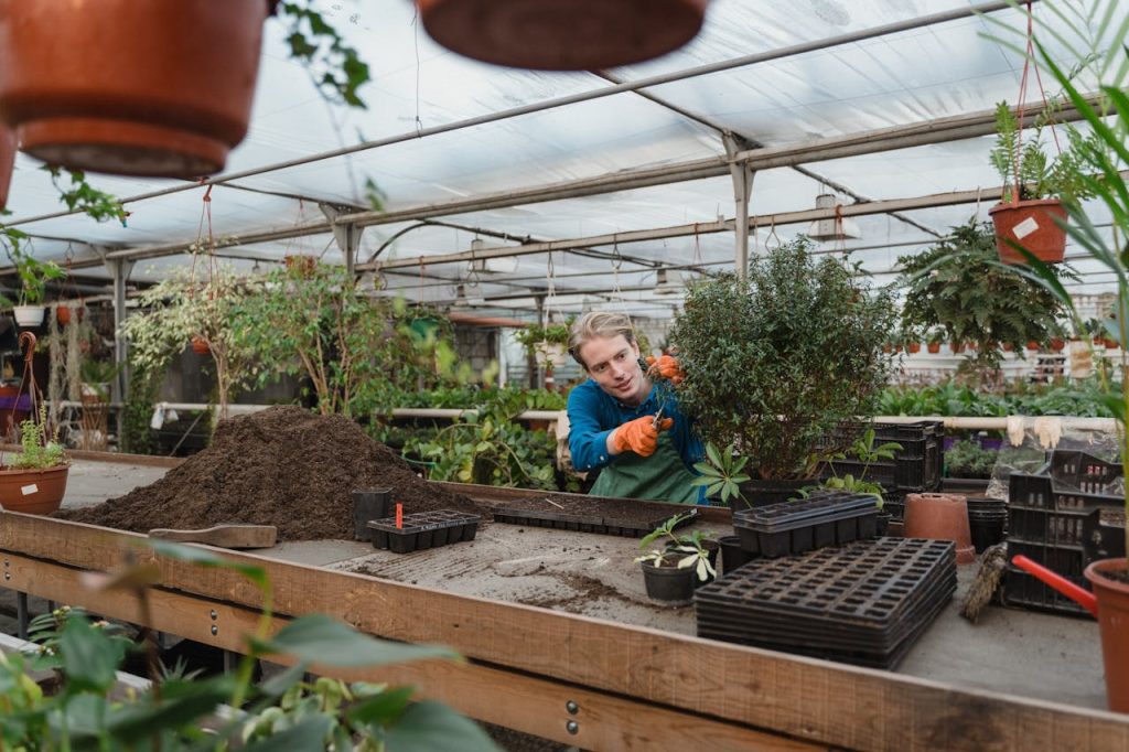 Hovenier Hoogeveen Hovenier Hoogeveen