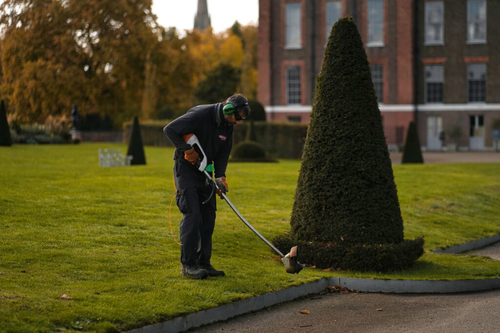 zwemvijver aanleggen zwemvijver aanleggen